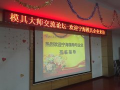  浙江宁海領導與企業家參加方天模具大師交流論壇 